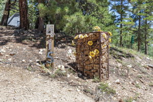  Photo 0