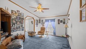  Photo 41