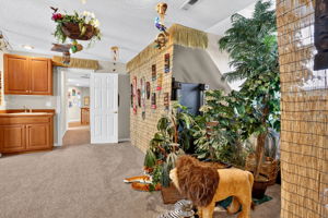  Photo 46