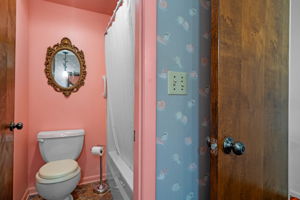 Photo 48