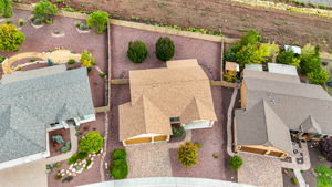 Birds Eye (2)