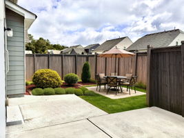 Professional Rendering of backyard design project