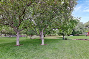  Photo 51