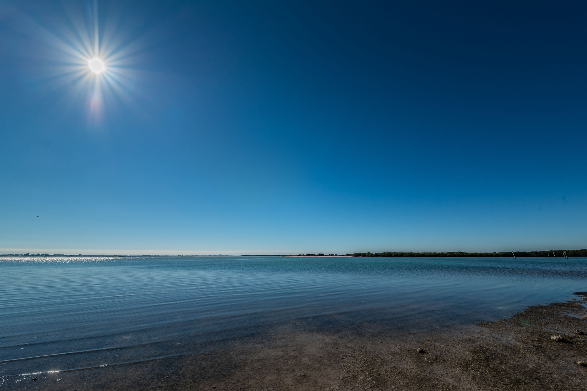 7-Dunedin Causeway