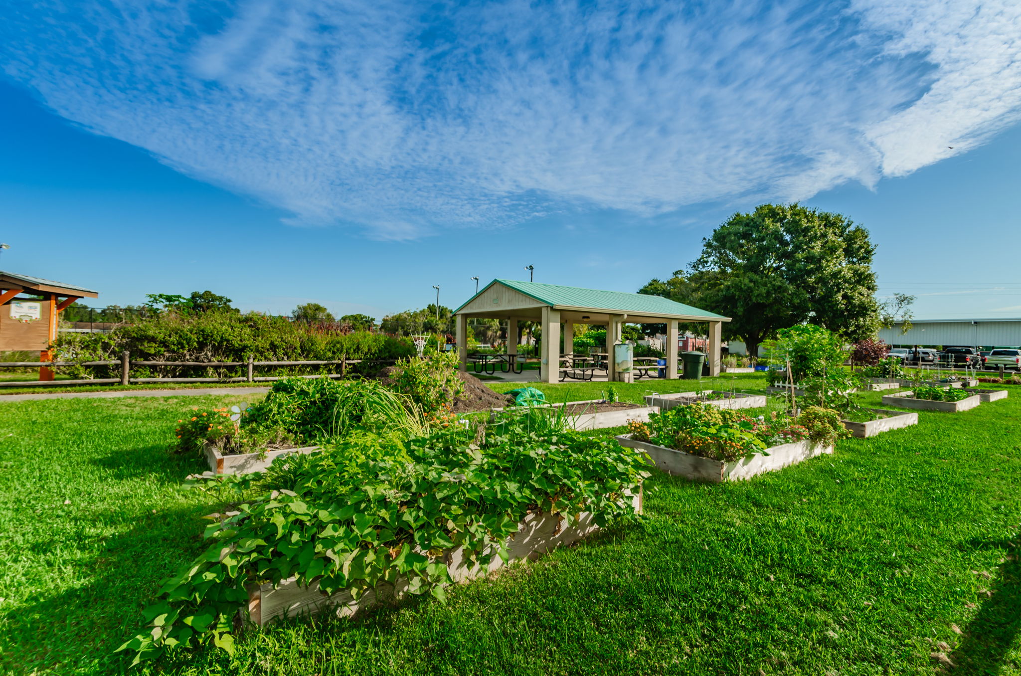 121-Dunedin Community Garden