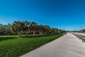 8-Dunedin Causeway