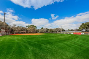 107-Dunedin Little League Baseball Field