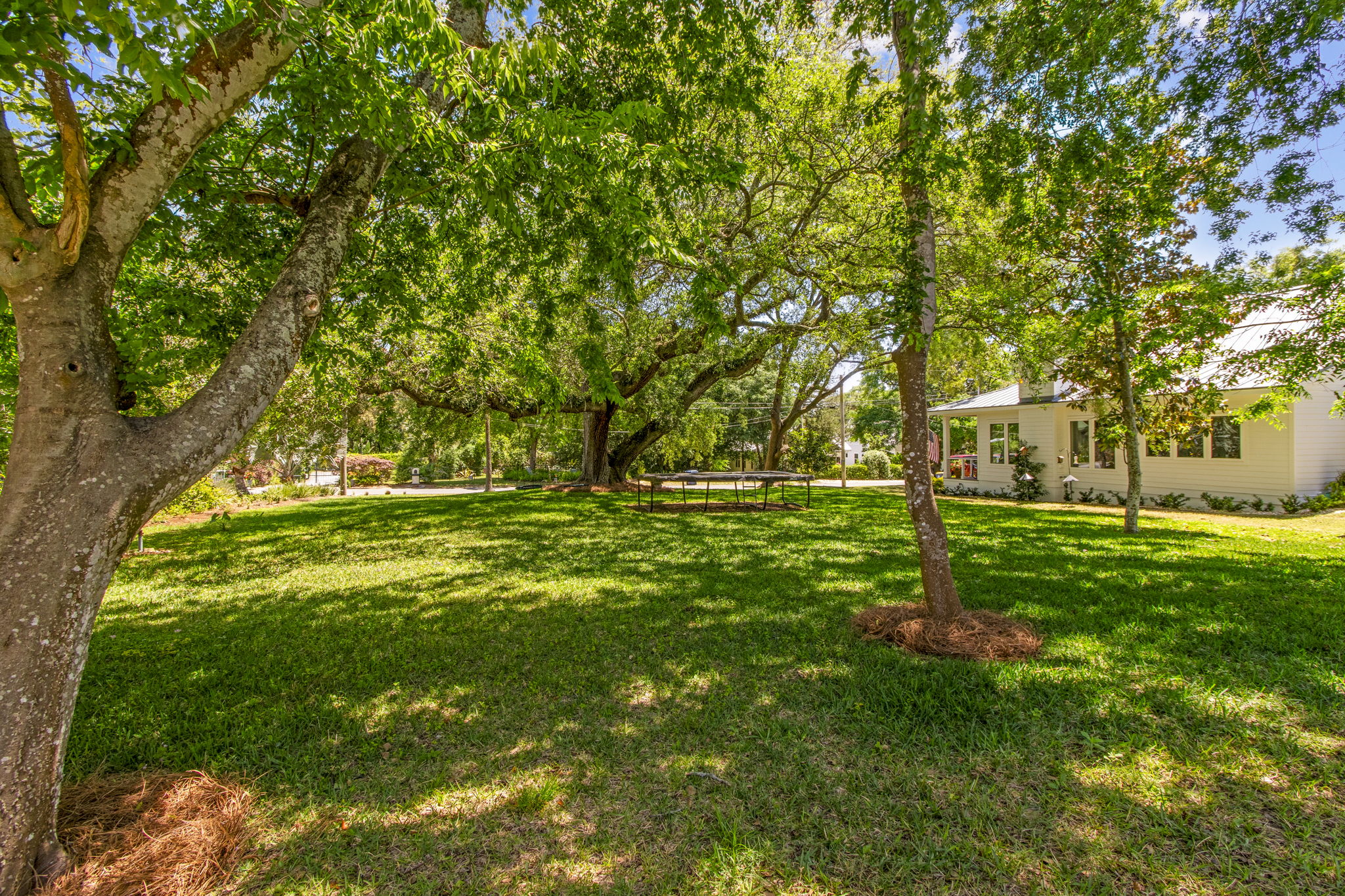 The back yard features a magnificent live oak tree, a fun spot for a shady tree swing