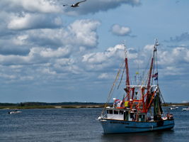 Fishing on Amelia Island is legendary, and its known as the birthplace of the shrimping industry