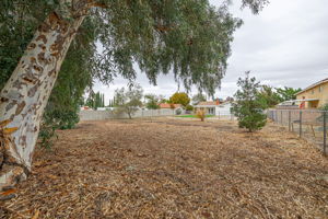  Photo 39