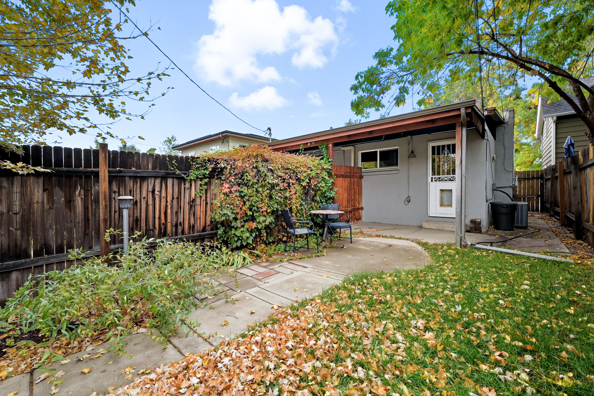 Your dog will love this back yard