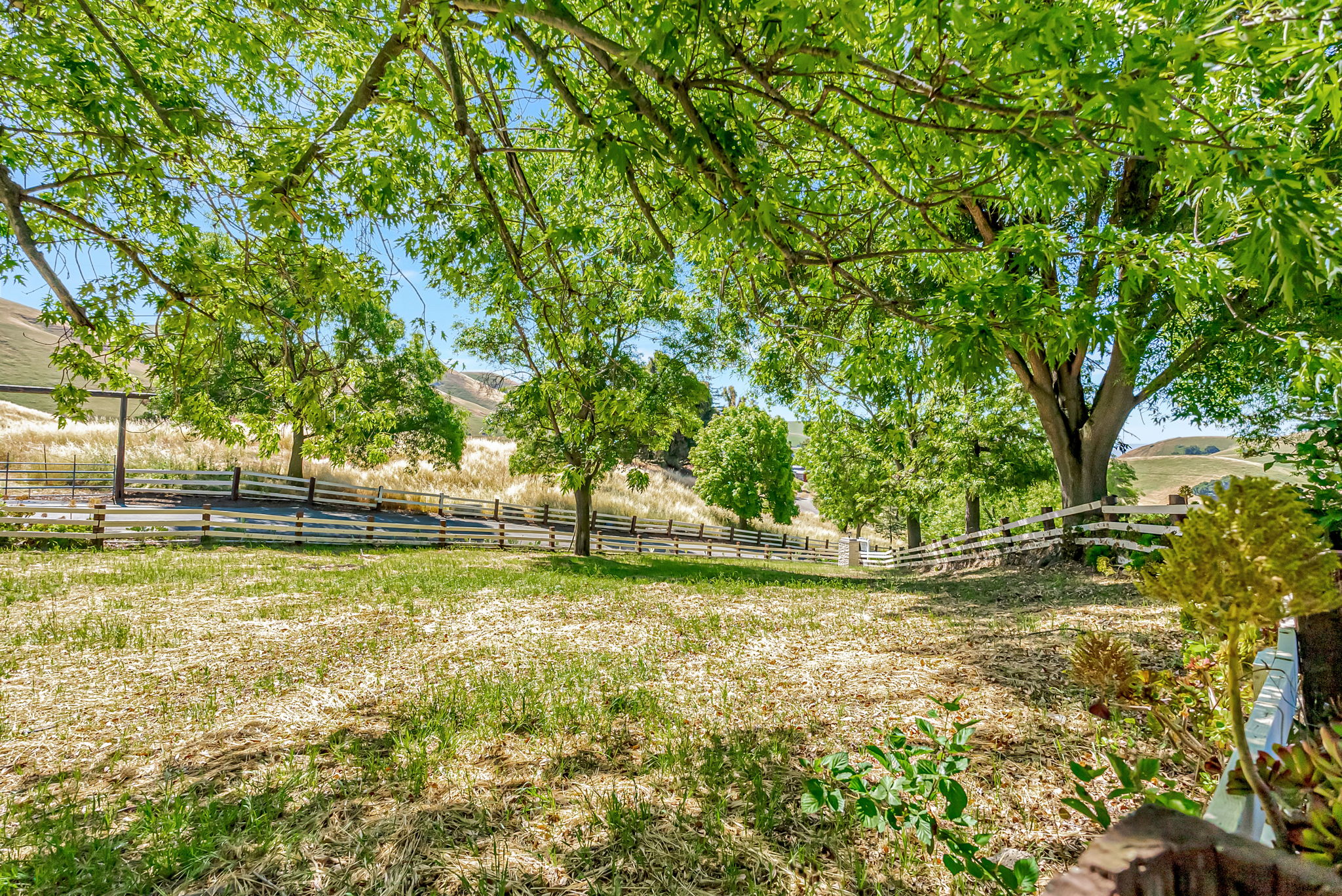 125_41660 Vargas Rd  