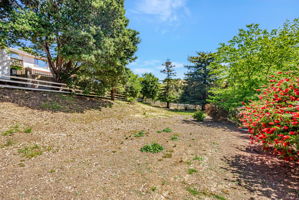 113_41660 Vargas Rd  