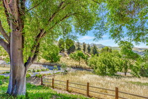 122_41660 Vargas Rd  