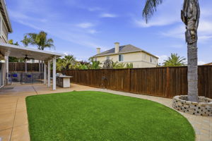 Artificial Turf / Low Maintenance