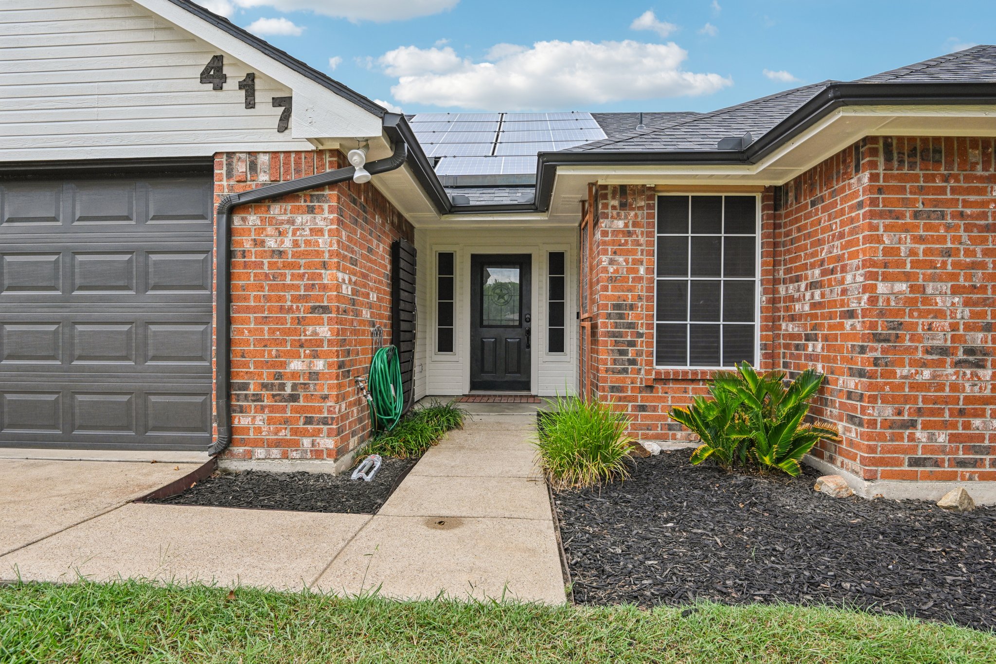 Bluebonnet-S2108-004.jpg