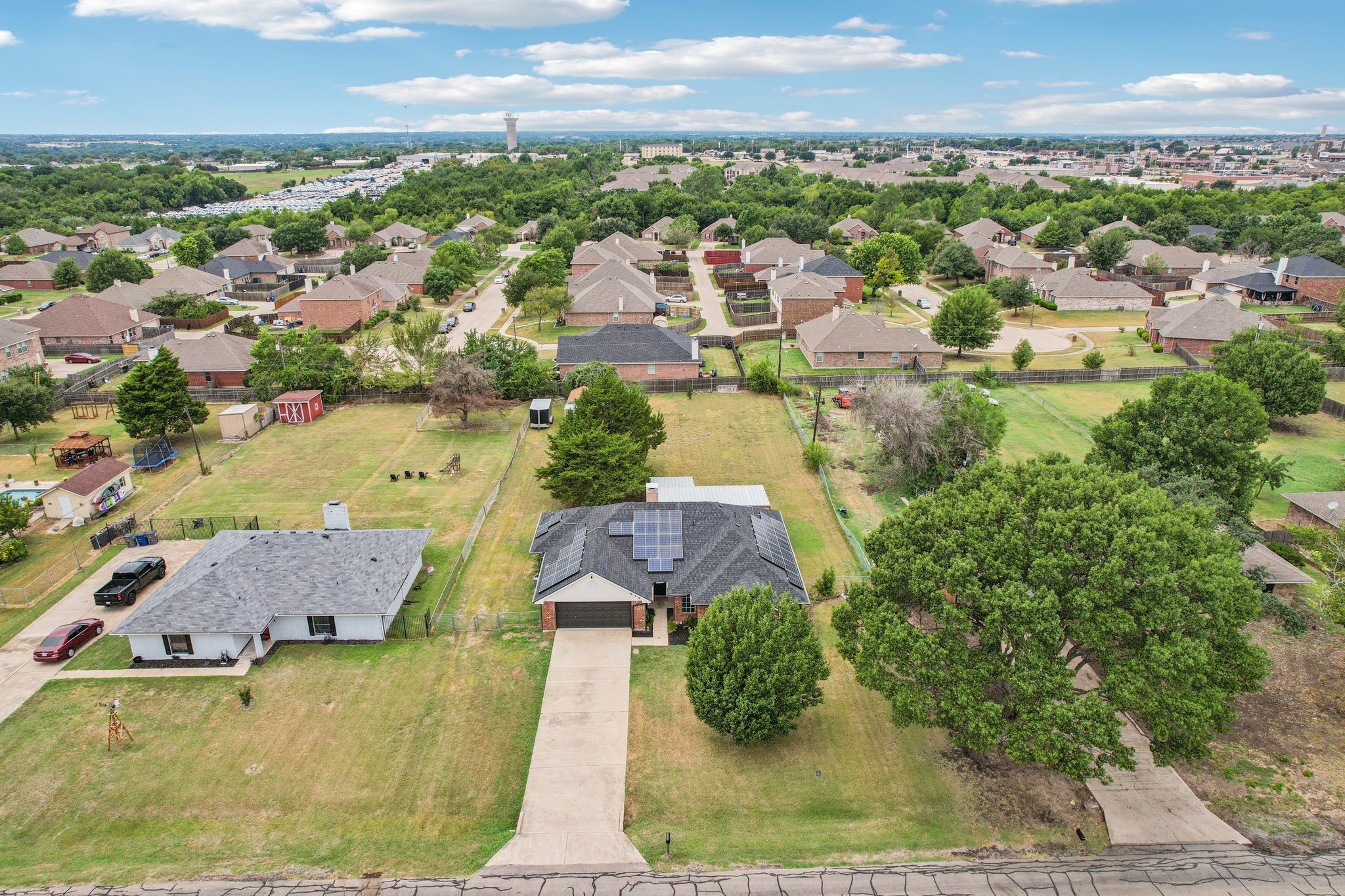 Bluebonnet-S2108-052.jpg