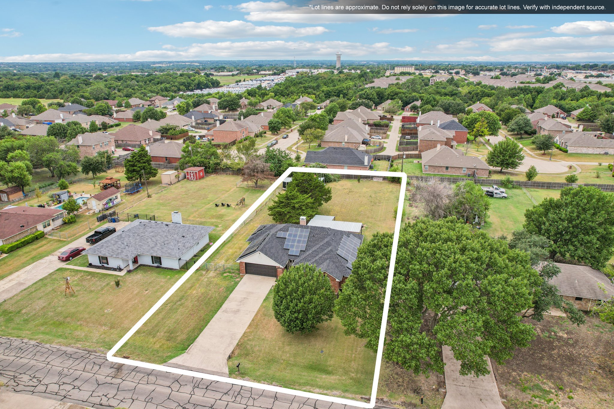 Bluebonnet-S2108-054.jpg