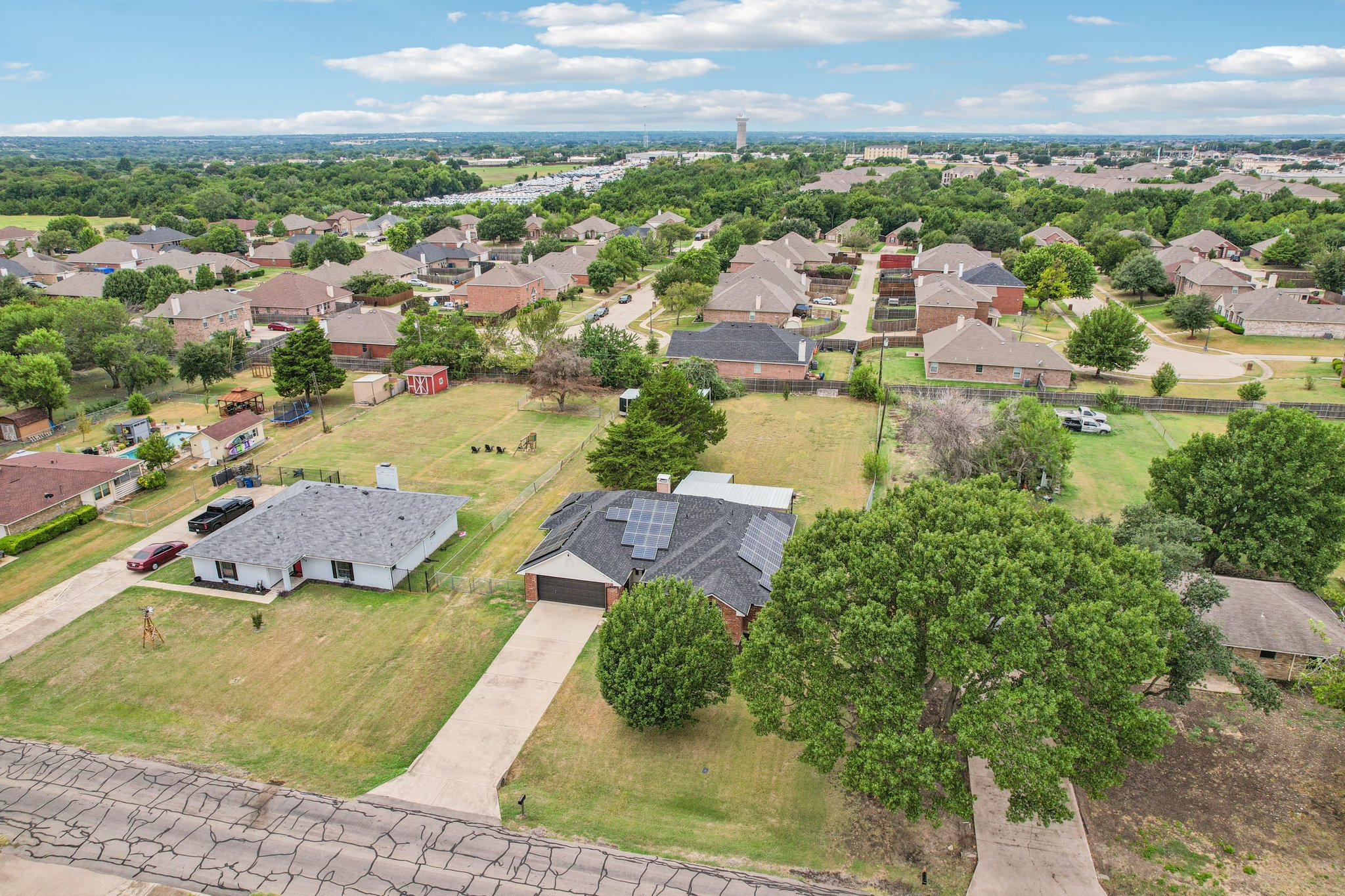 Bluebonnet-S2108-055.jpg