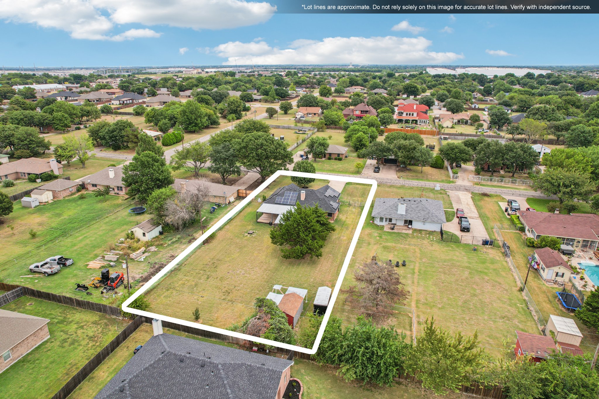 Bluebonnet-S2108-059.jpg