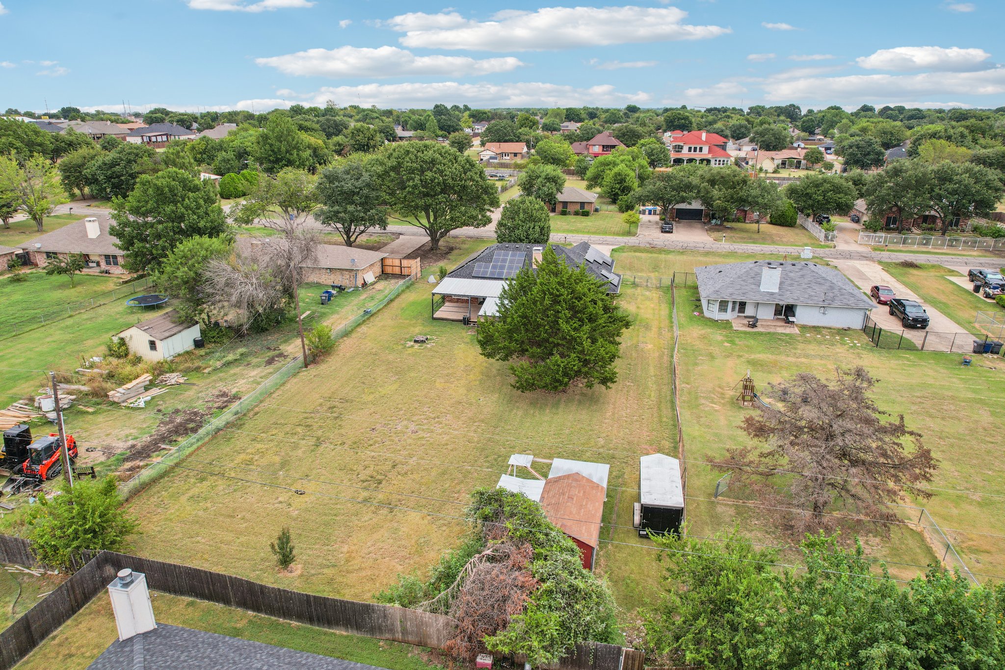 Bluebonnet-S2108-061.jpg