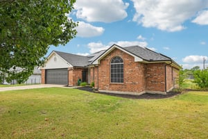 Bluebonnet-S2108-003.jpg