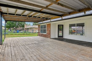 Bluebonnet-S2108-037.jpg