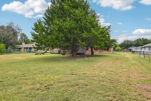 Bluebonnet-S2108-043.jpg