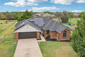 Bluebonnet-S2108-049.jpg