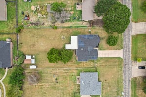Bluebonnet-S2108-056.jpg