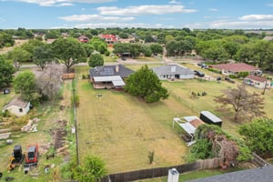 Bluebonnet-S2108-062.jpg