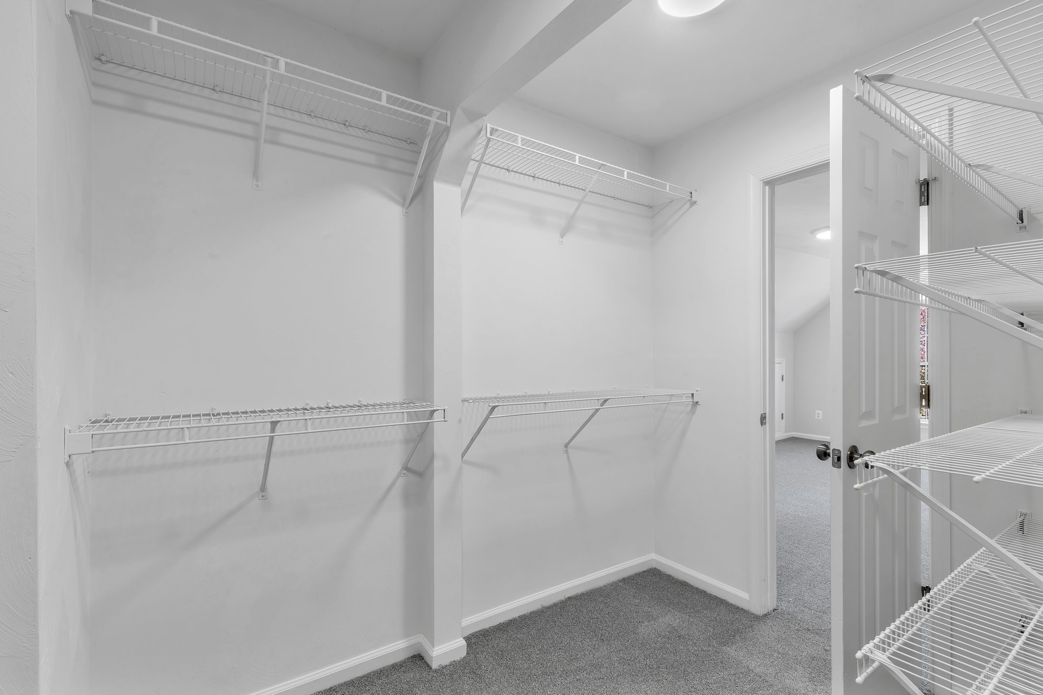 Photo Oct 27 2023, 21 28 57.jpg