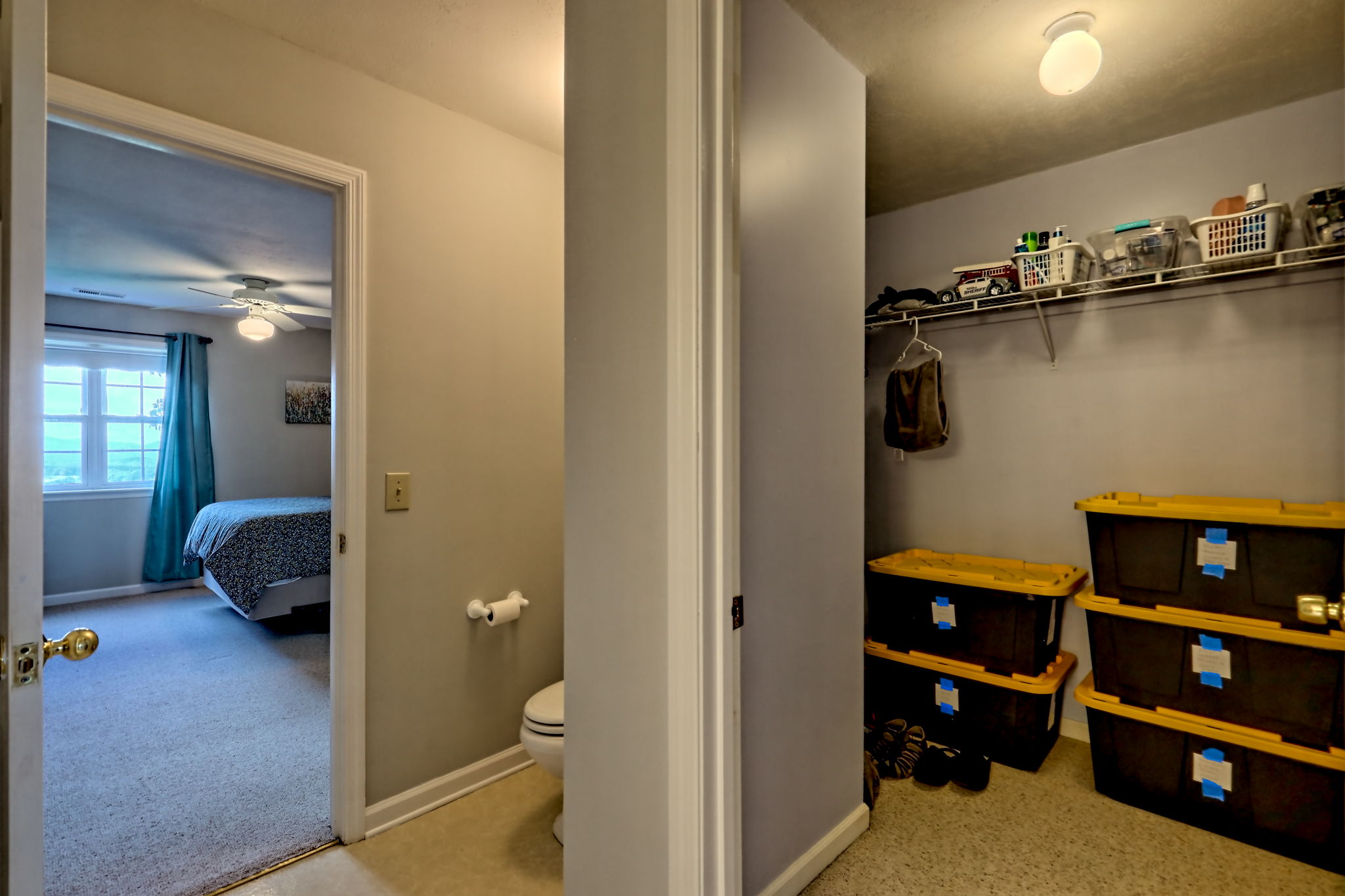  Photo 42