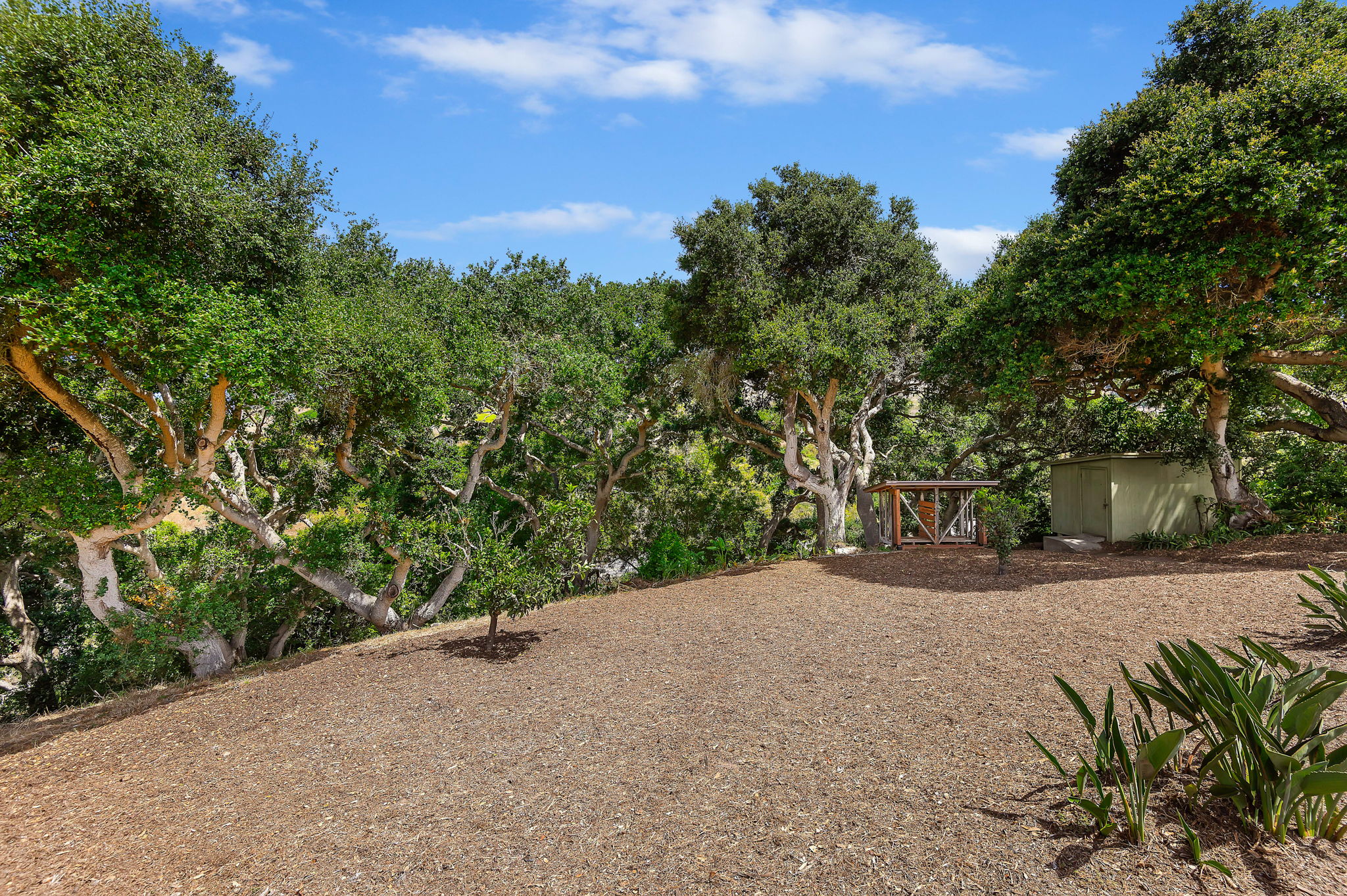 32 - Large Lot