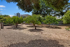 30 - Large Lot