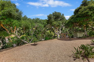 32 - Large Lot
