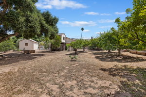 31 - Large Lot
