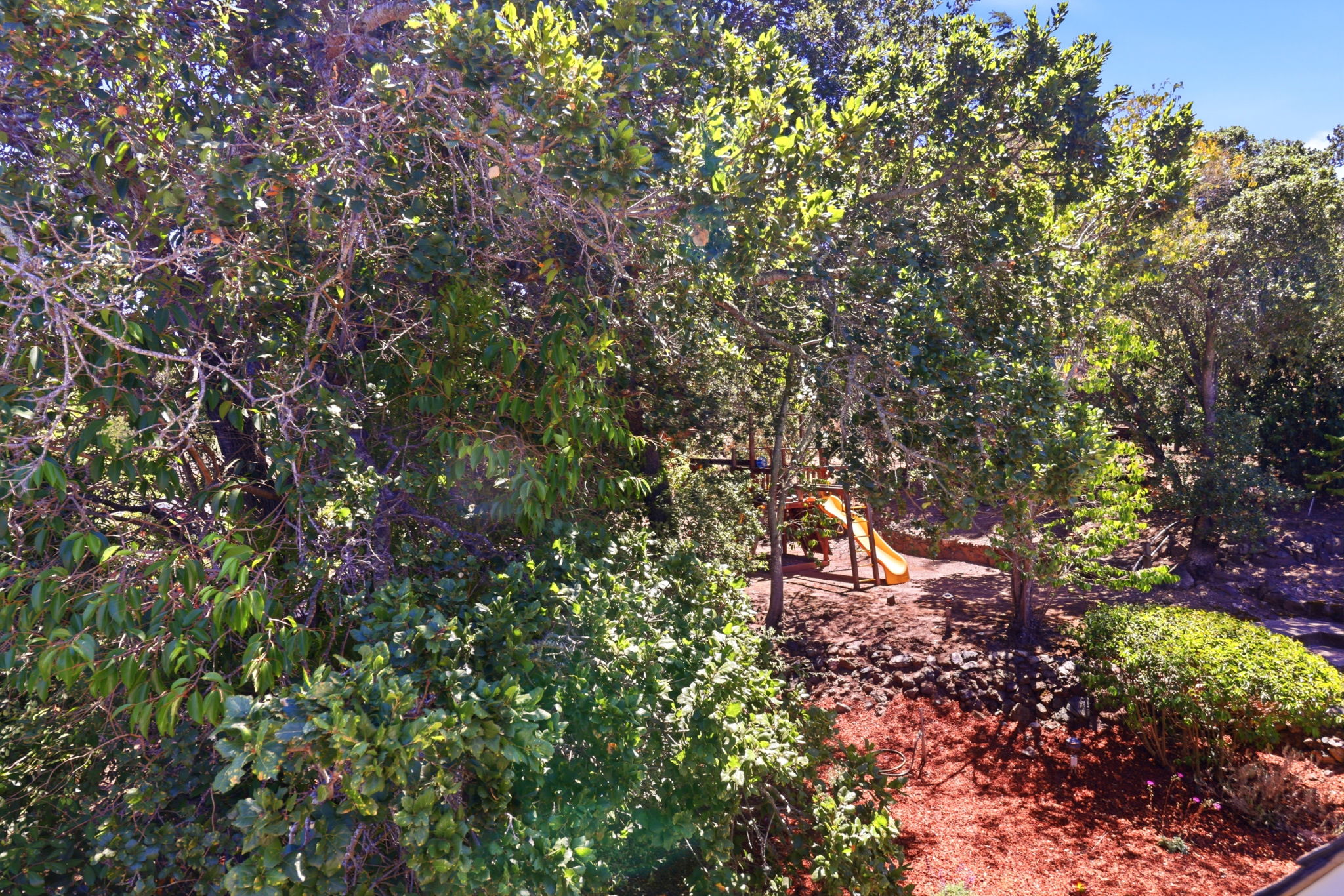 052_F8_417 Palomar Drive