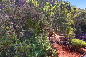 052_F8_417 Palomar Drive