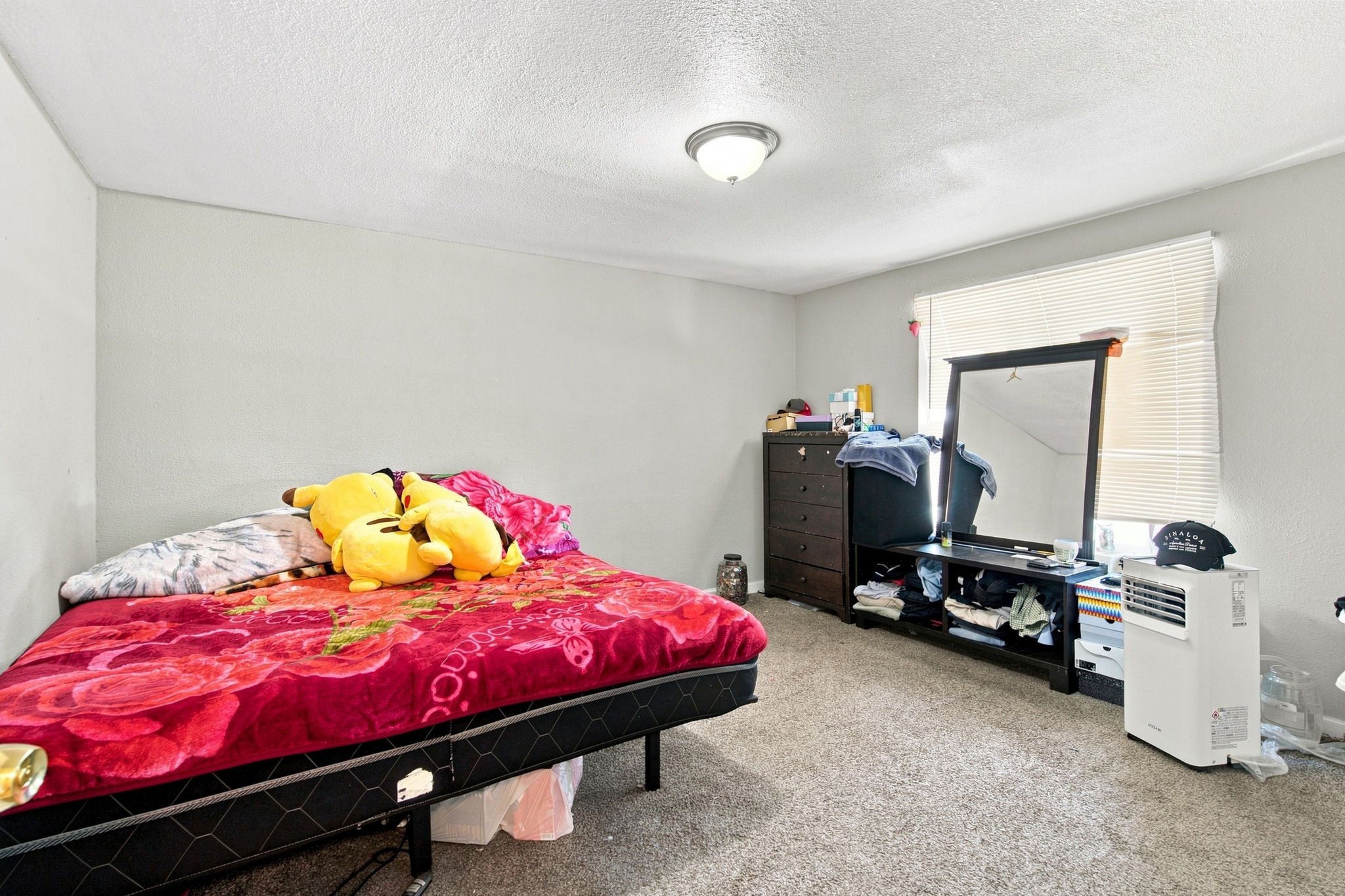  Photo 23