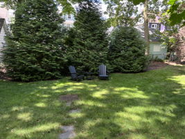  Photo 48
