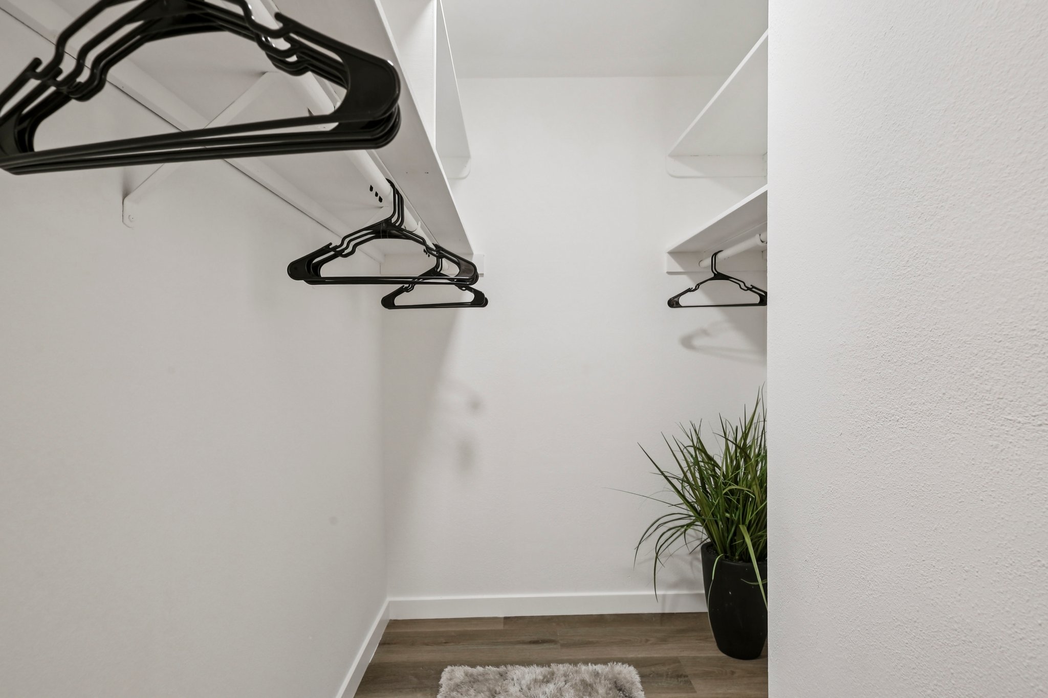 Elm Ave 213-S3108-020.jpg