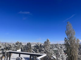 Winter View