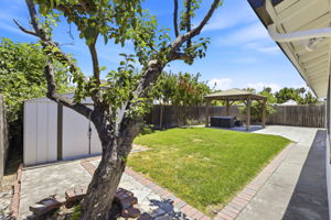  Photo 31