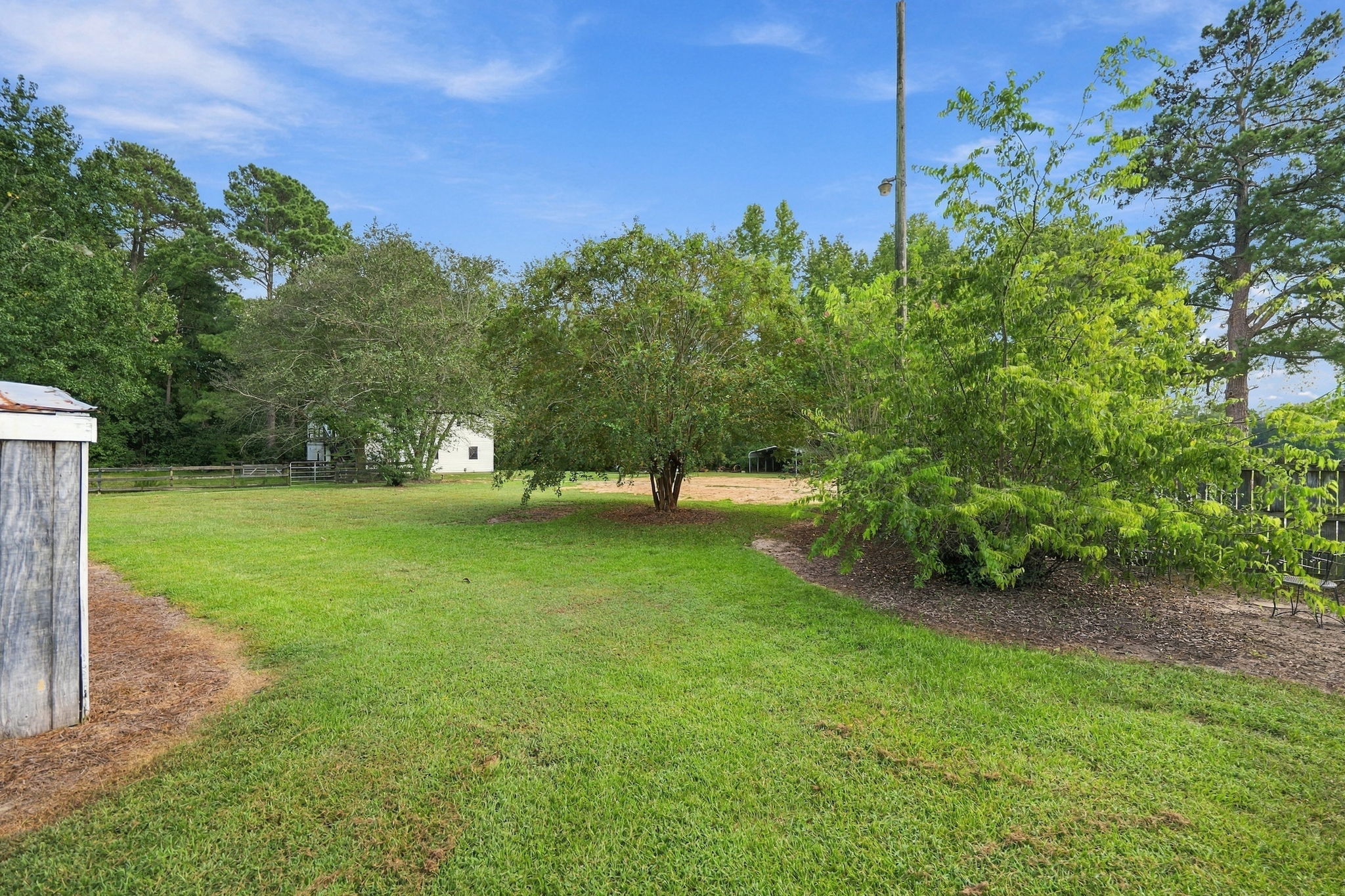  Photo 42
