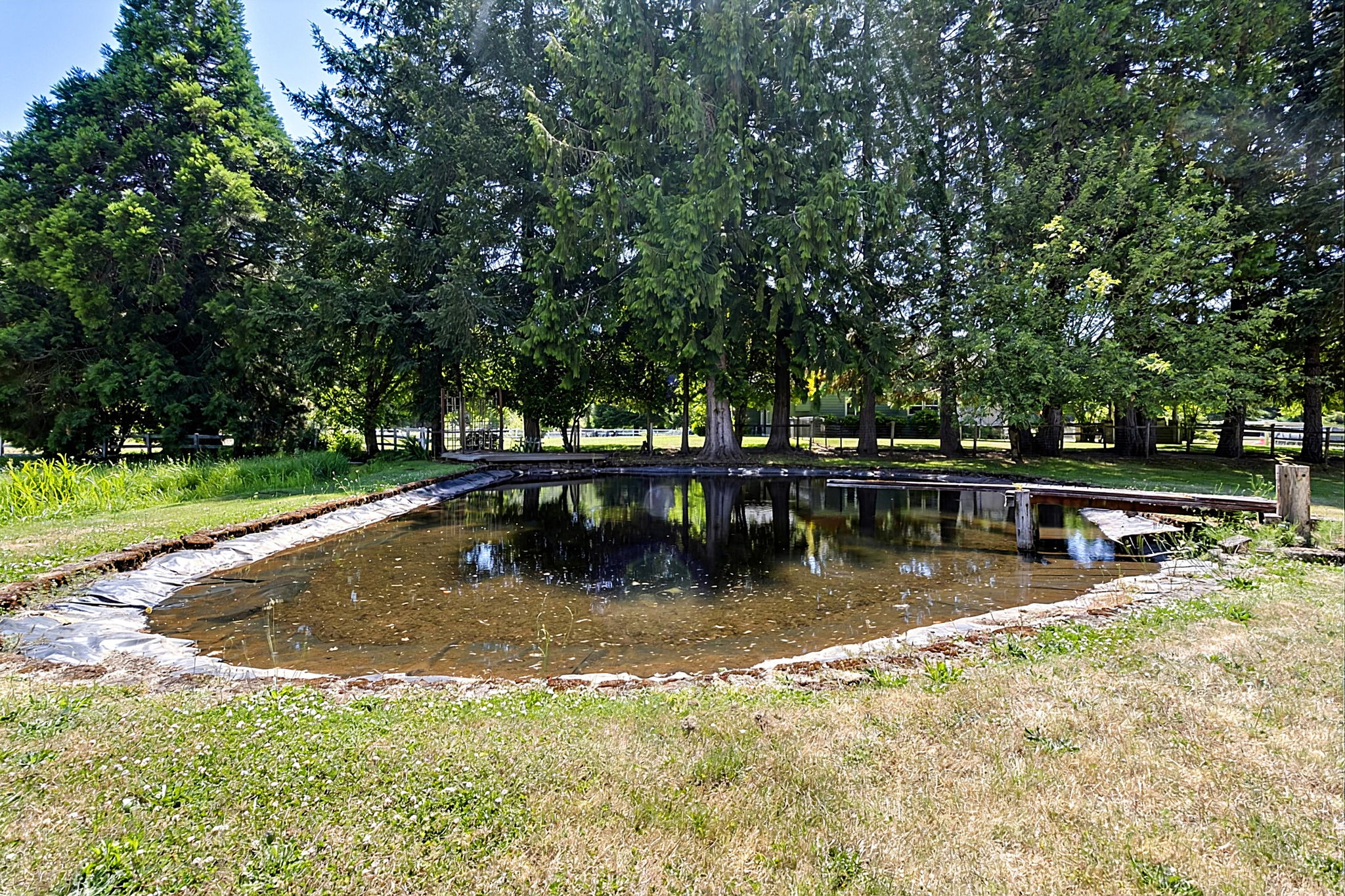 Photo 46