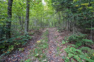  Photo 51