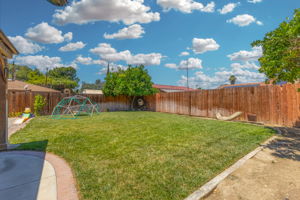  Photo 41