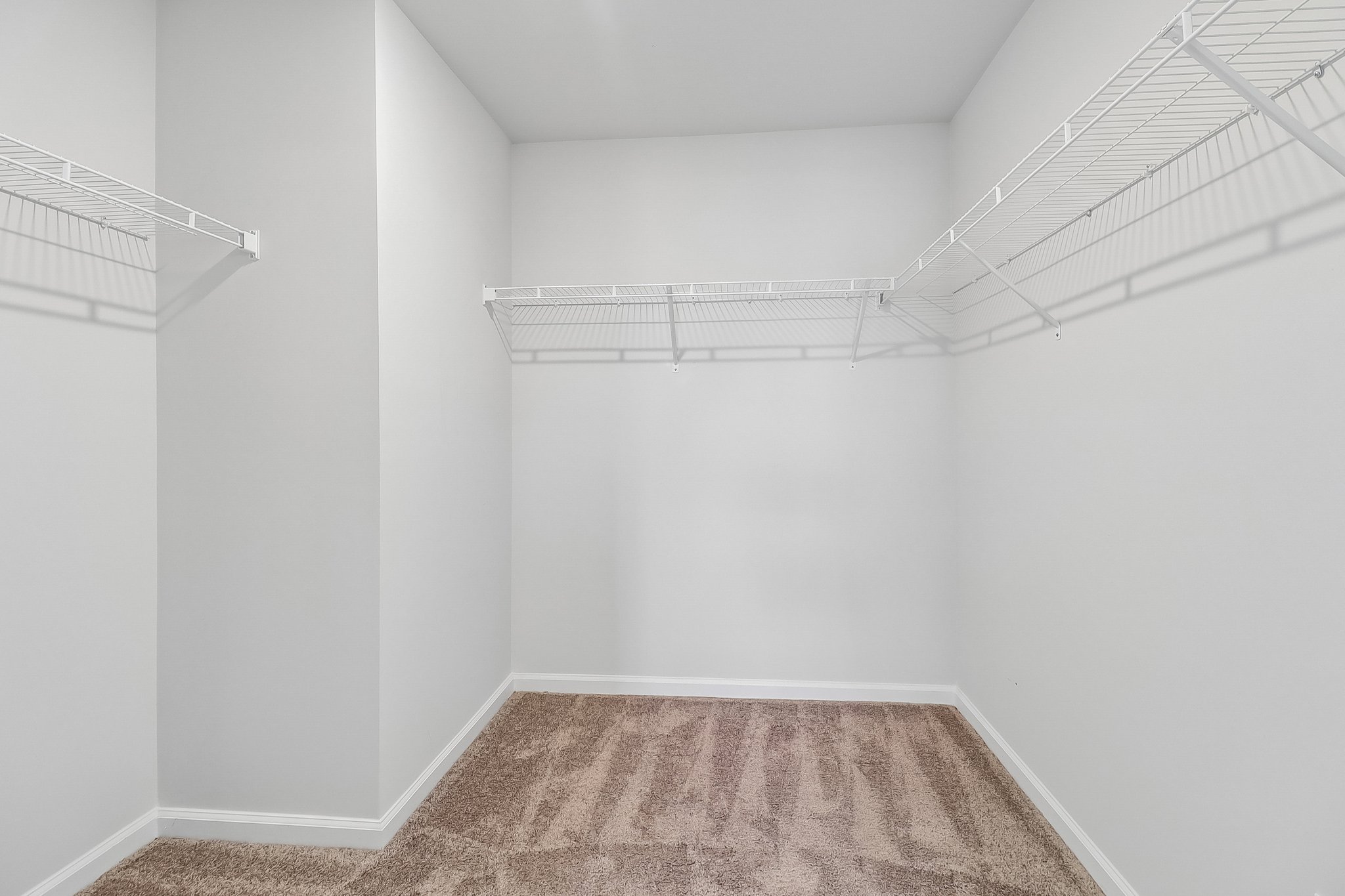 Eclipse Ln-S2104-018.jpg