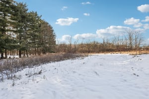 Fixler Rd-S0601-010.jpg